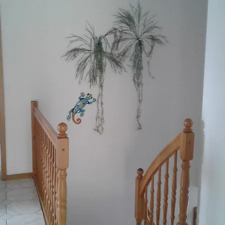Ferienwohnung Gecko 3 Andernach